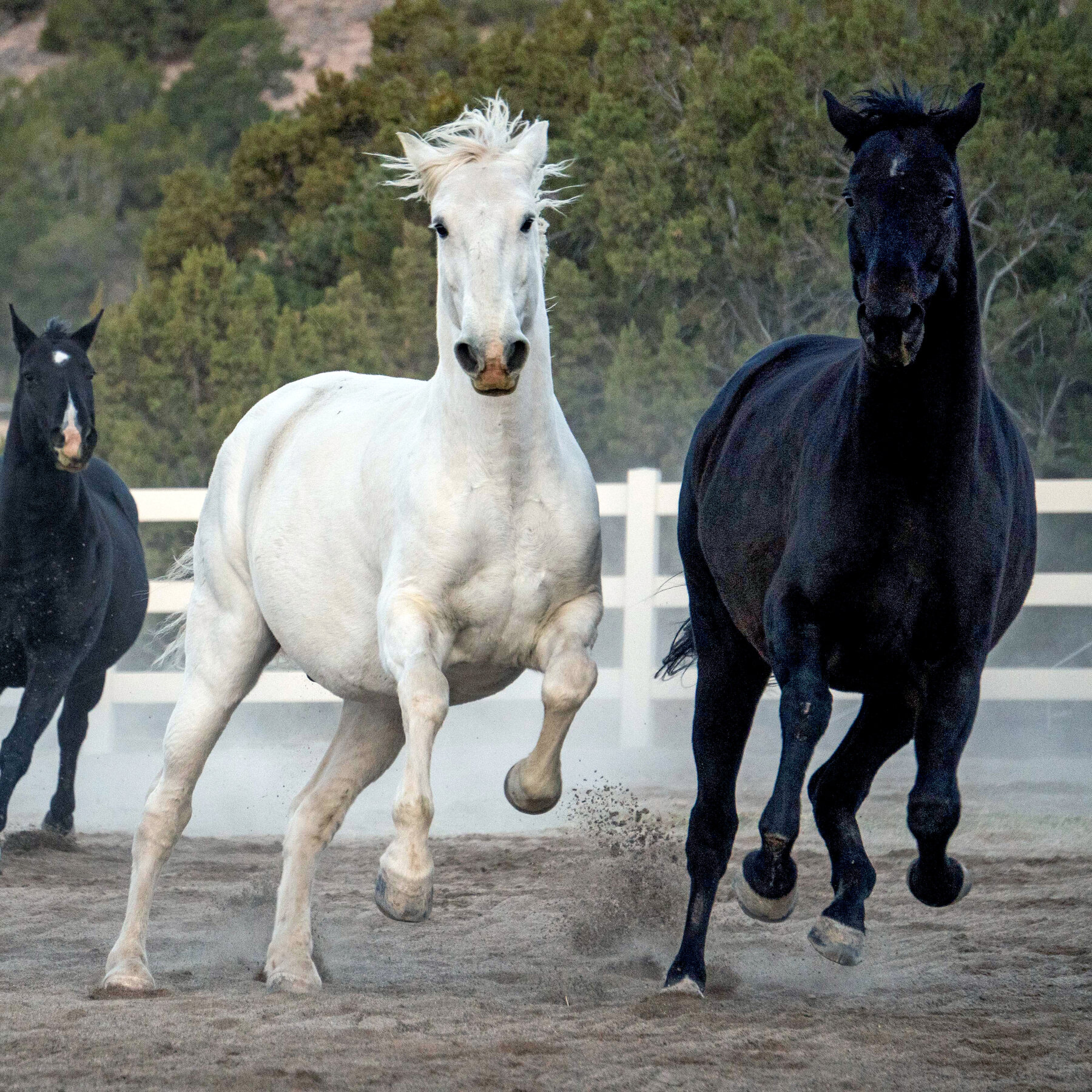 Healhy healty habbits